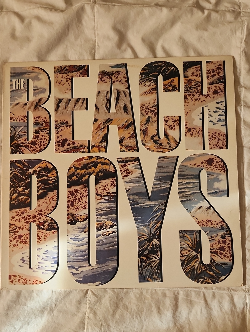 Vinyl Record - Multi-Color Album Cover